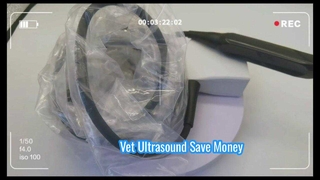 Sonda ultradźwiękowa Mindray 75L50EAV dla weterynarzy